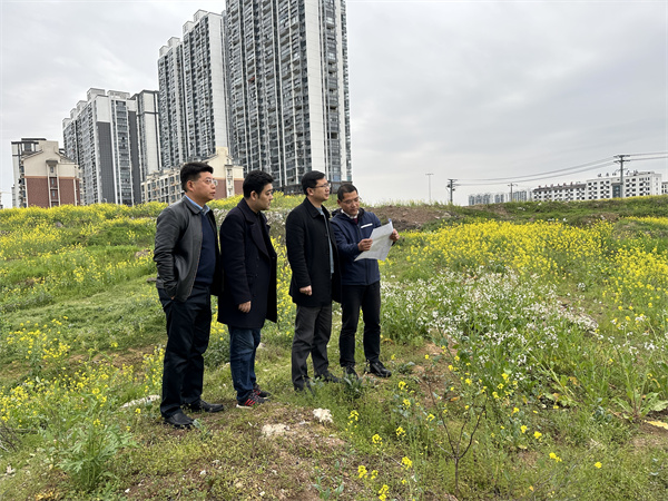 3月29日，张总陪同汪盛县长调度扬之学校征地.jpg